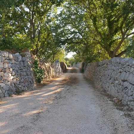 Il Nido Delle Rondini Villa Cisternino Exterior photo