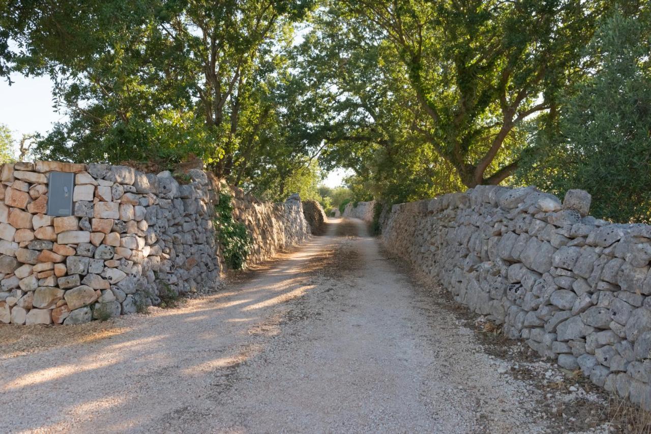 Il Nido Delle Rondini *