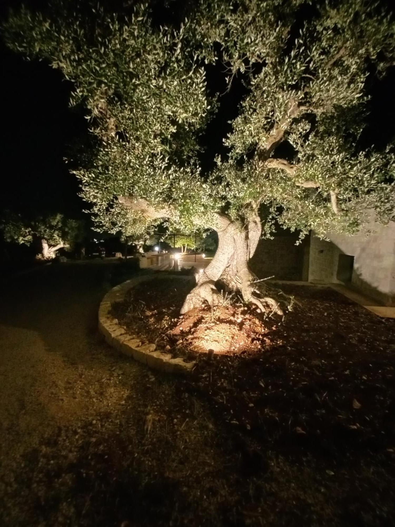 Holiday home Il Nido Delle Rondini