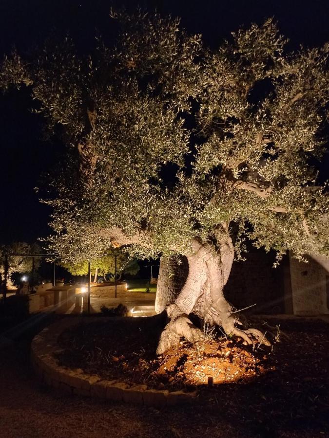 Il Nido Delle Rondini Cisternino